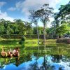 Cambodia luxury tours - Lavish Journey to Cambodia