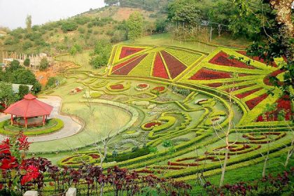 Doi Mae Salong