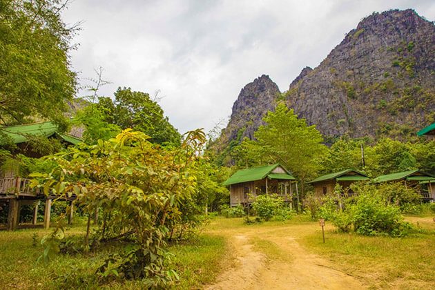 Green Climber’s home