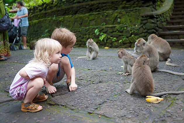 Monkey Forest Sanctuary - indonesia luxury tour packages