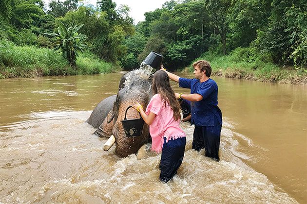 private elephant sanctuary - luxury tour in thailand